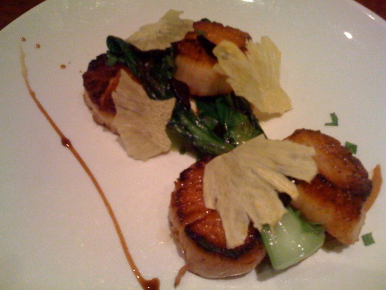 Scallops 790 xxx