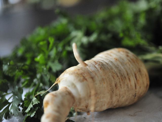 Parsley root 31 790 xxx