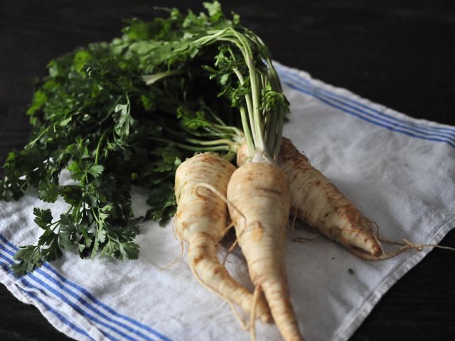 Parsley root 21 790 xxx