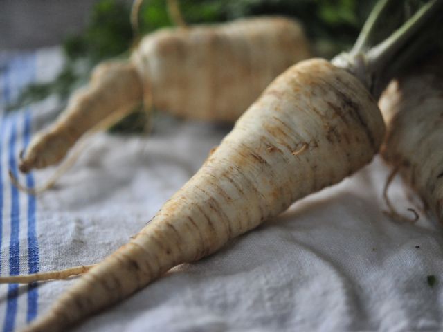 Parsley root1 790 xxx