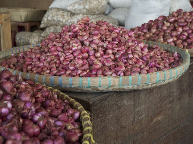 Shallots 790 xxx