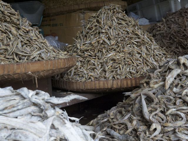 Dried fish 790 xxx