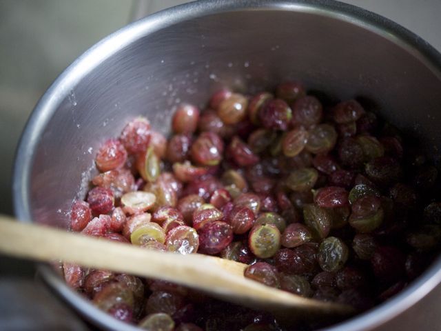 Gooseberries in pot 790 xxx