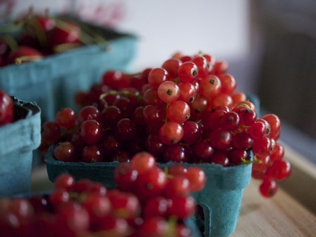 Red currants 790 xxx