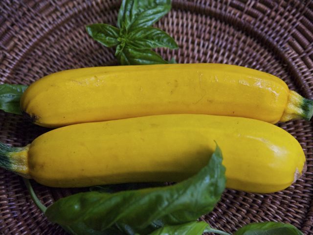 Yellow zucchini 790 xxx