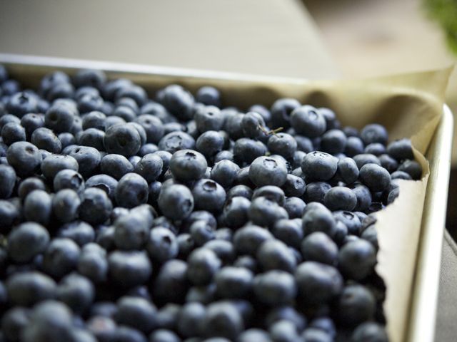 Blueberries1 790 xxx