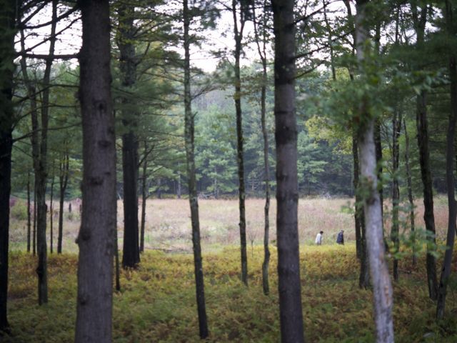 Beaver dam marsh 790 xxx