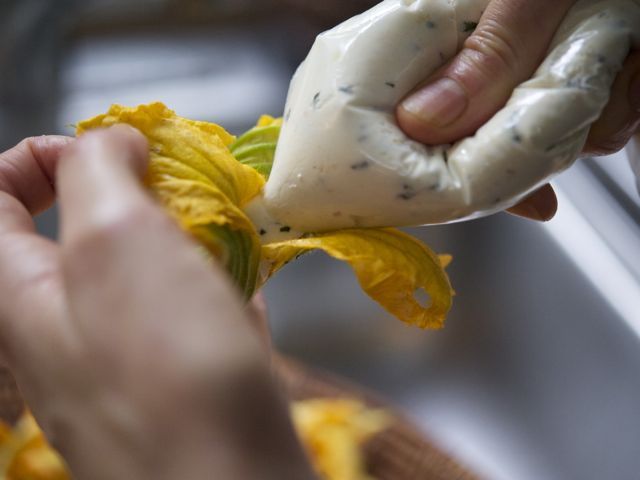 Stuffing zucchini blossoms 790 xxx