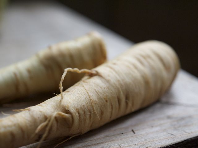 Parsnips 790 xxx