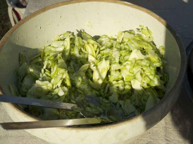Celery apple salad 790 xxx