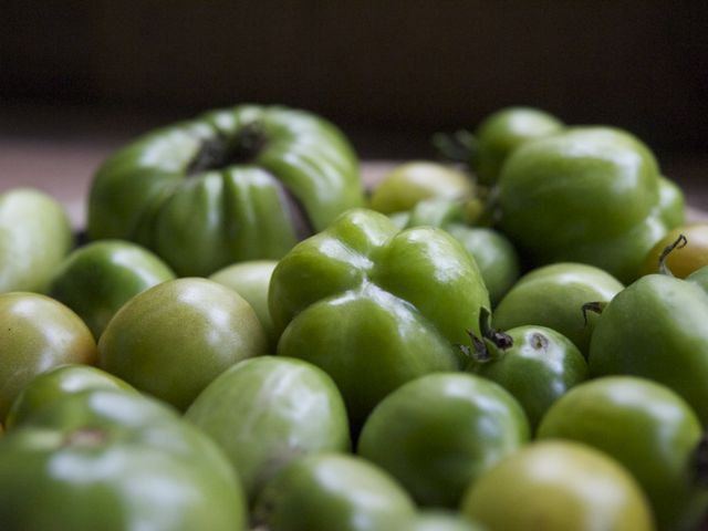 Green tomato harvest 790 xxx