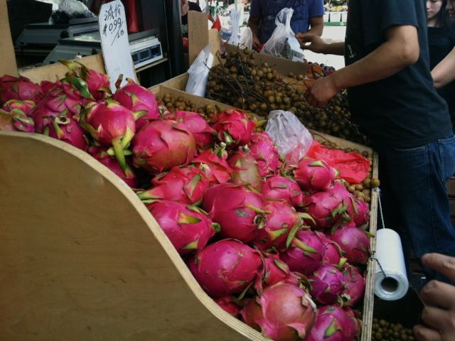 Dragonfruit 790 xxx