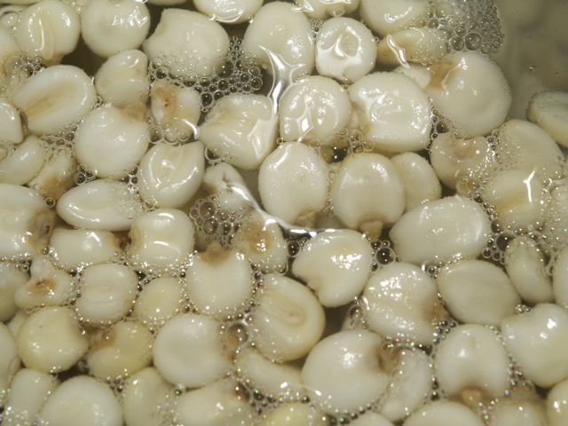 Hominy soaking 790 xxx