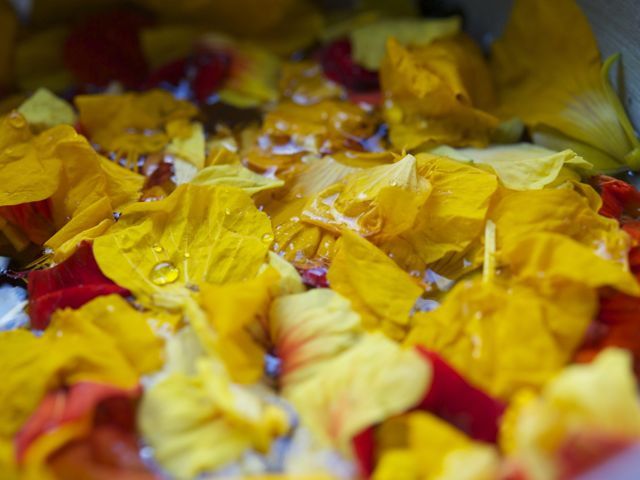 Soaking nasturtiums 790 xxx