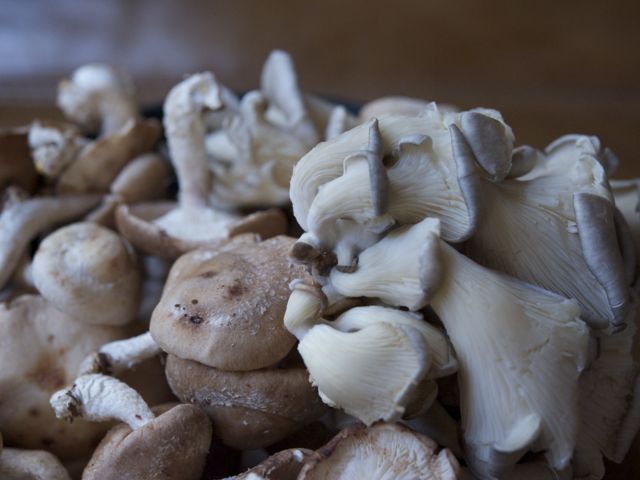Raw mushrooms 790 xxx