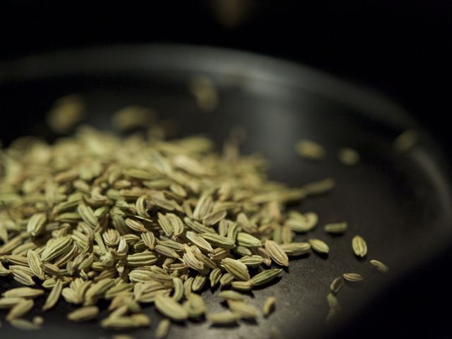 Fennel seeds 790 xxx