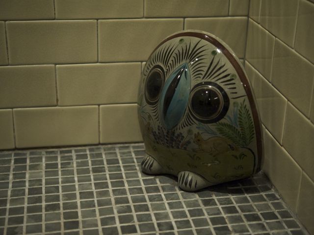 Mexican owl 790 xxx