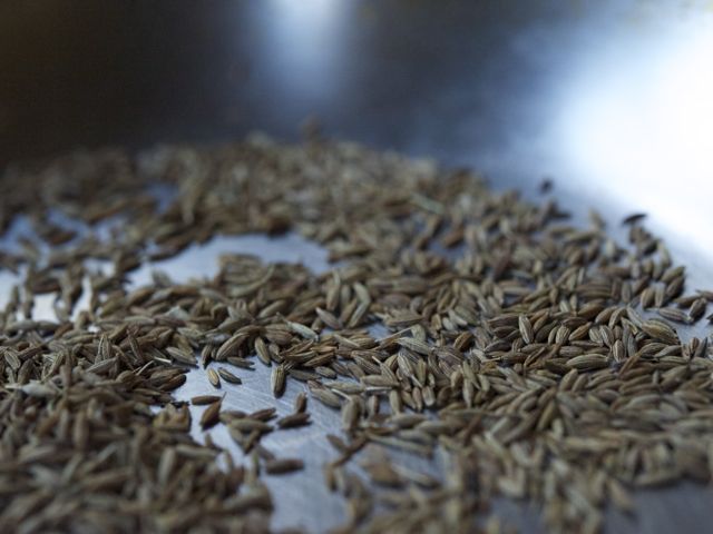 Cumin seeds 790 xxx