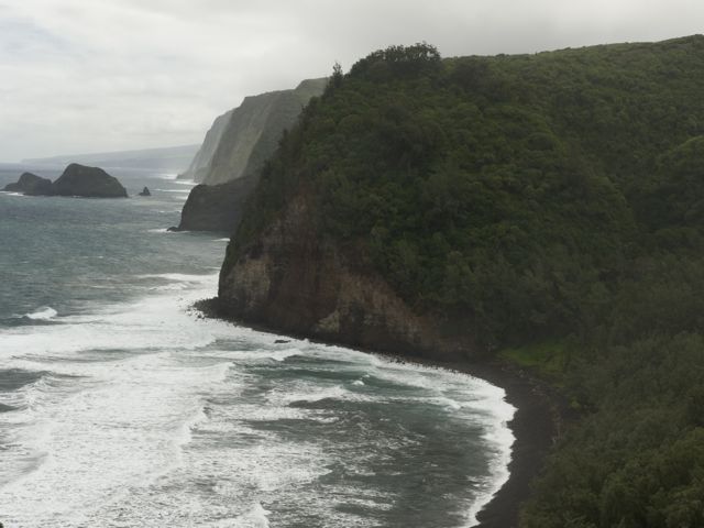 Pololu 790 xxx