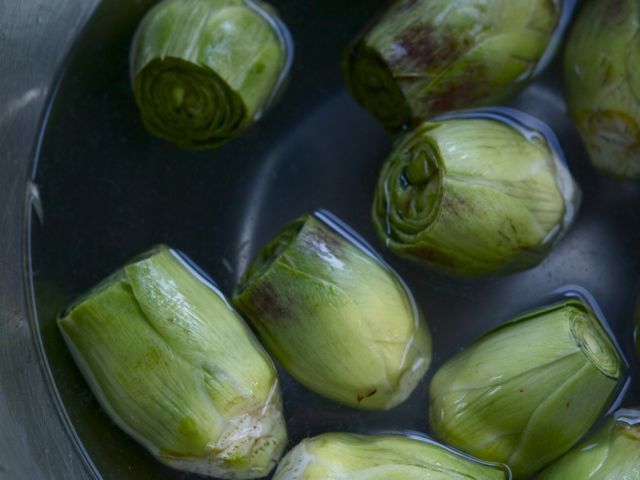 Artichokes 790 xxx