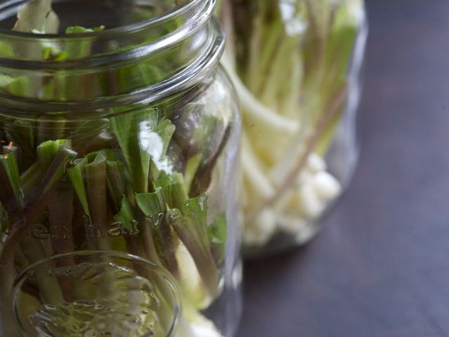 Ramps in jar 790 xxx