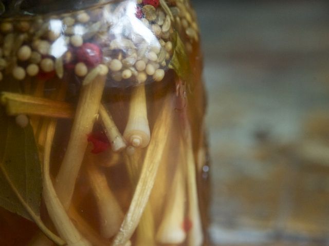 Pickled ramps 790 xxx
