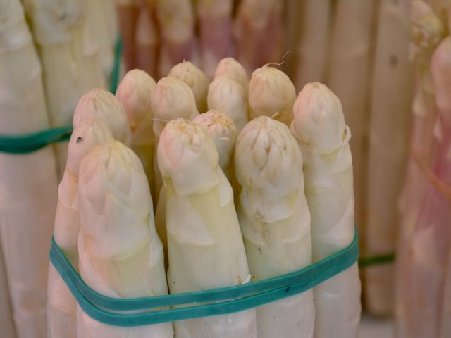 White asparagus1 790 xxx