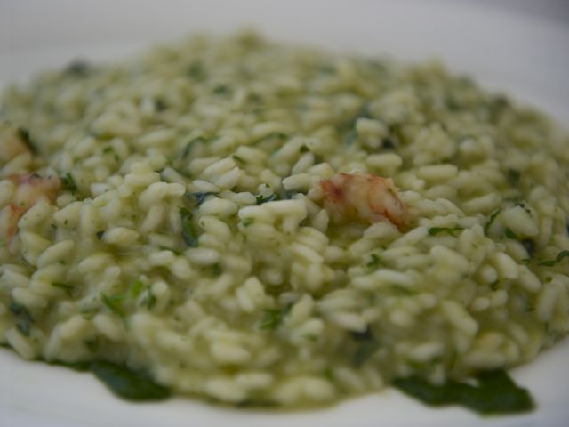 Risotto 790 xxx