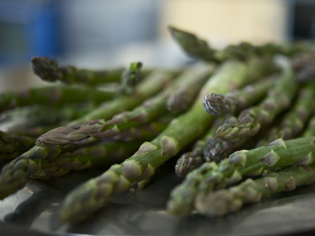 Asparagus 790 xxx