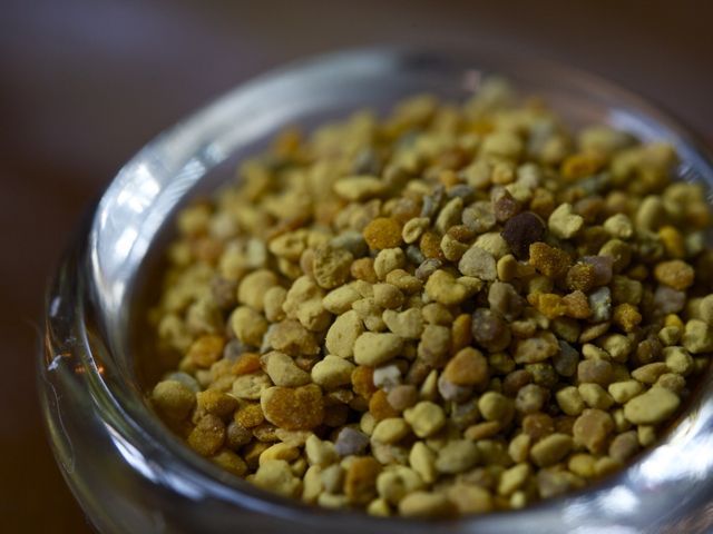 Bee pollen 790 xxx