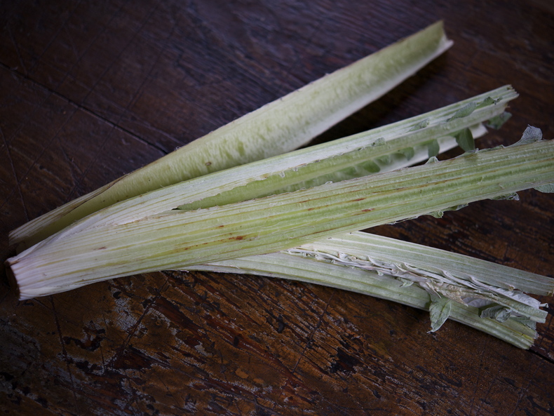 Cardoon3 790 xxx