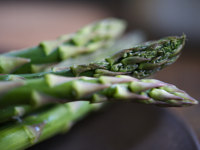 Asparagus 790 xxx