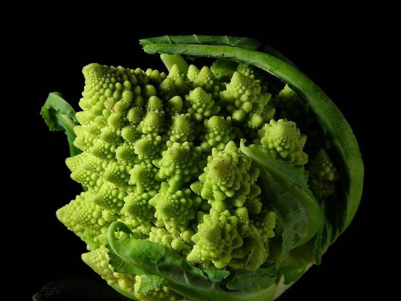 Romanesco 790 xxx