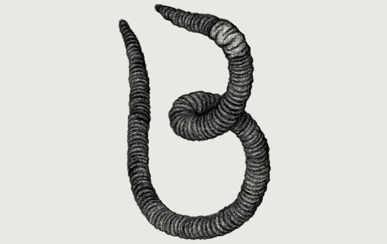 Earthworm 790 xxx