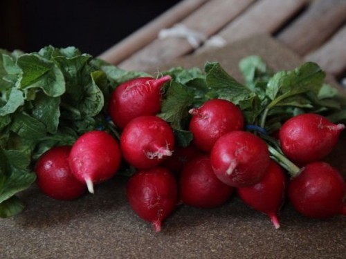 Radishes2 530x3971 500.0 xxx 790 xxx