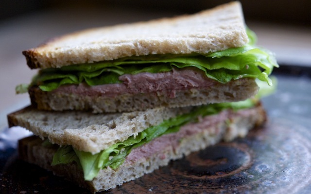 Sandwich 790 xxx
