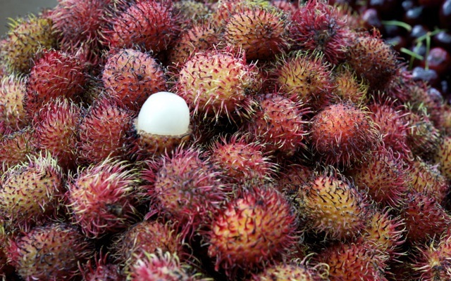 Rambutan 790 xxx