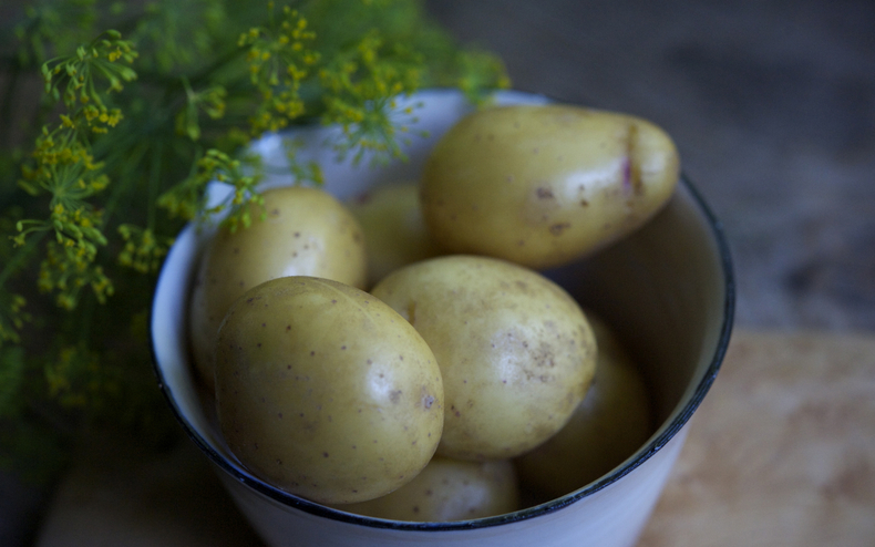 Potatoes 790 xxx