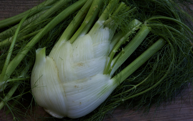 Fennel 790 xxx