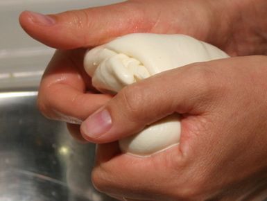 Shaping mozzarella 790 xxx