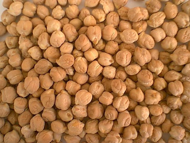 Chickpeas 790 xxx