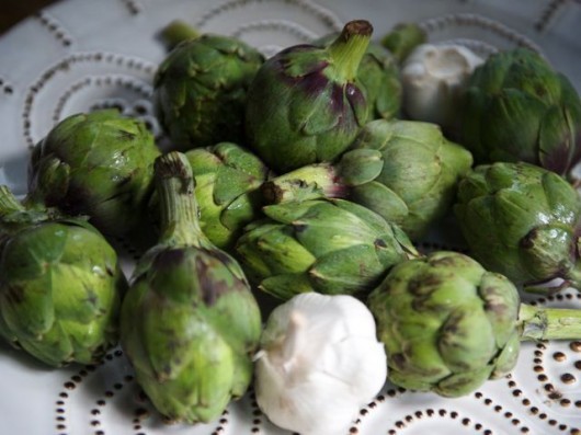 Artichokesgarlic 790 xxx