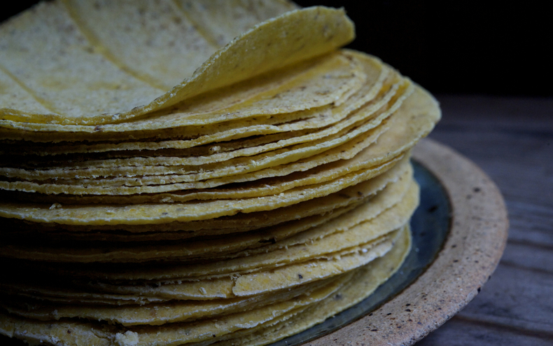 Tortillas 790 xxx