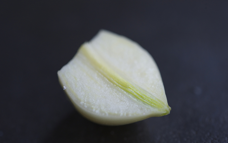 Garlic germ 790 xxx