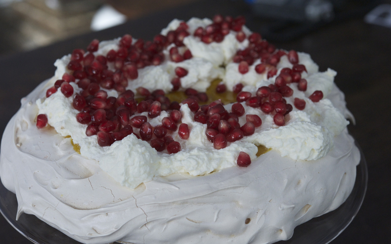 Pavlova 790 xxx