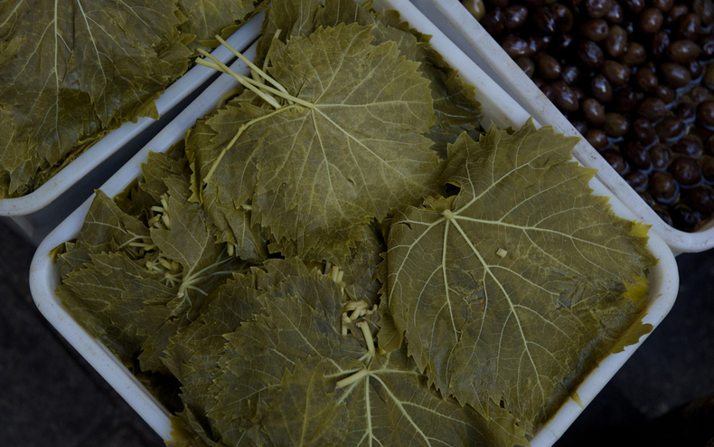 Vine leaves2 790 xxx