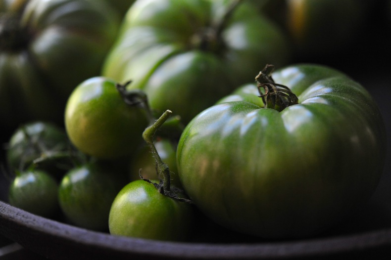 Green tomatoes 790 xxx