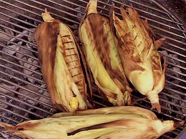 Corn on the grill 790 xxx