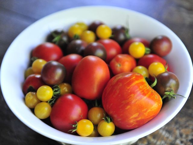 Tomatoes 790 xxx