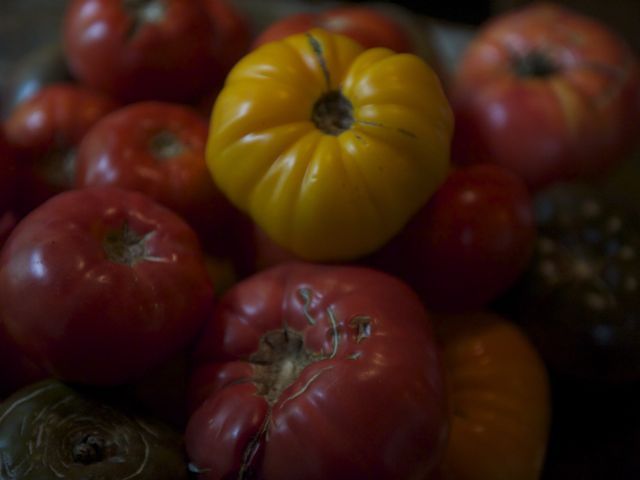 Tomatoes 2 790 xxx